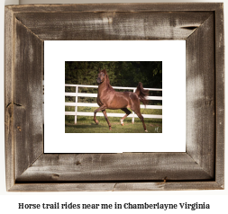 horse trail rides near me in Chamberlayne, Virginia